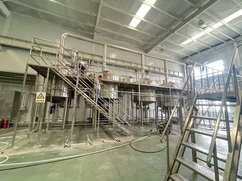 甘肅精釀啤酒設備市場 如何選擇年產2萬噸的自動糖化設備供應商